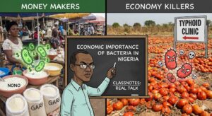 Economic importance of Bacteria in Nigeria
