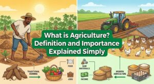 What is Agriculture? Definition and Importance Explained Simply