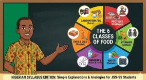 What are the Six Classes of Food? (Full Explanation)